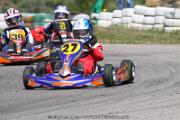 20110501_ales_agnus (3373)